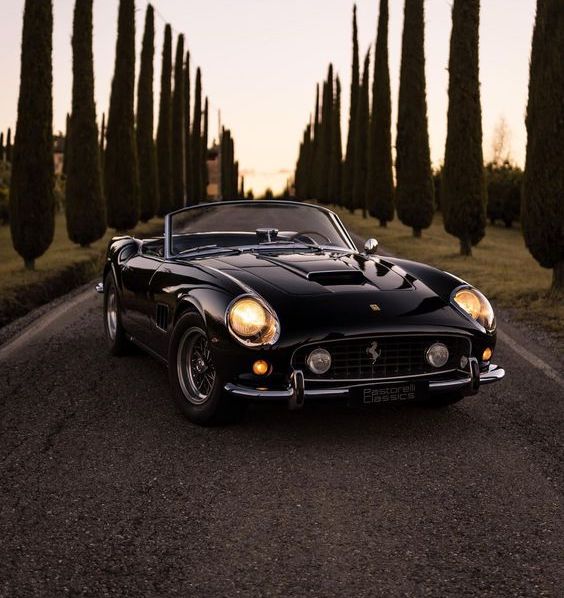 Cars & Motors